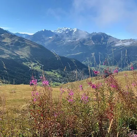 Cozy Chalet With Magic View & Location