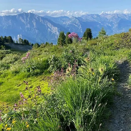 Cozy Chalet With Magic View & Location Chalet