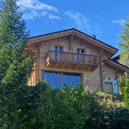 Chalet Cozy Chalet With Magic View & Location